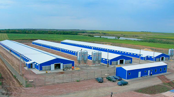 Industrial complex for growing turkey in the Rostov region